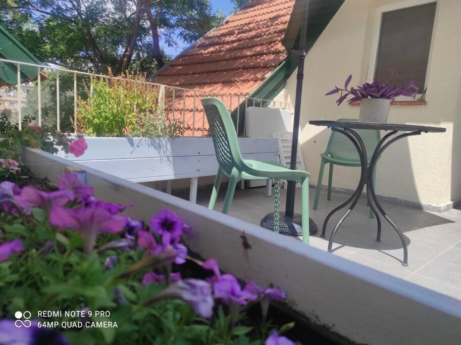 Amanda's Place Modern Spacious Family Apartment Zikhron Ya'akov